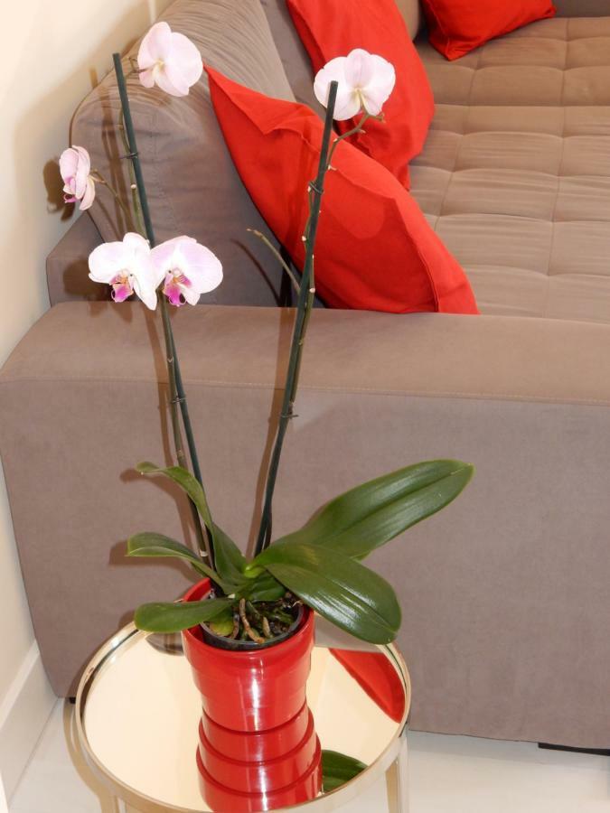 Beach & Sea Apt, Fast Wifi, Airco, Private Parking And Pool ポルティマン エクステリア 写真